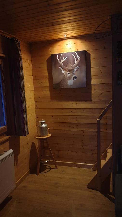Chalet Les Vosgiennes Le Valtin Extérieur photo